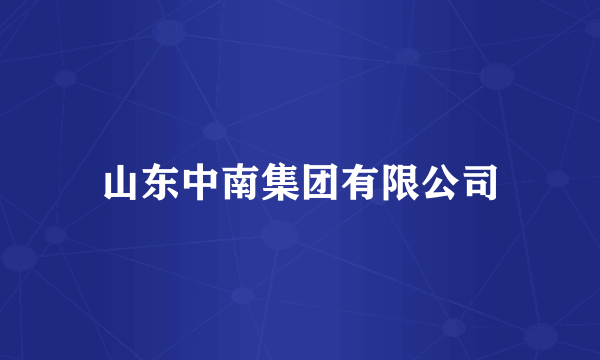 山东中南集团有限公司