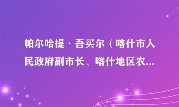帕尔哈提·吾买尔（喀什市人民政府副市长、喀什地区农业农村机械化发展中心副主任）