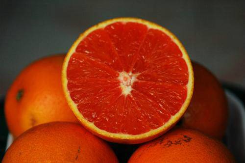 脐血橙