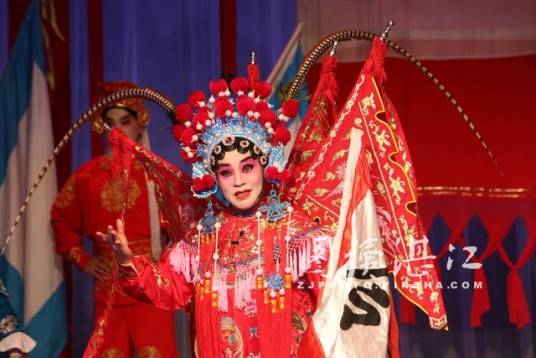 林奋（雷剧代表人物，国家一级演员）