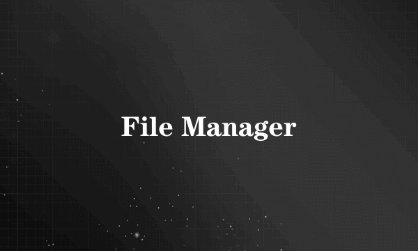 File Manager