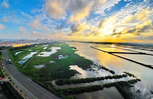生态城市（按生态学原理建造的人类聚居环境）