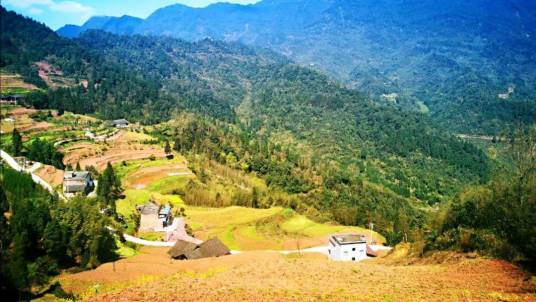 桂花镇（四川省泸州市古蔺县下辖镇（已撤销））