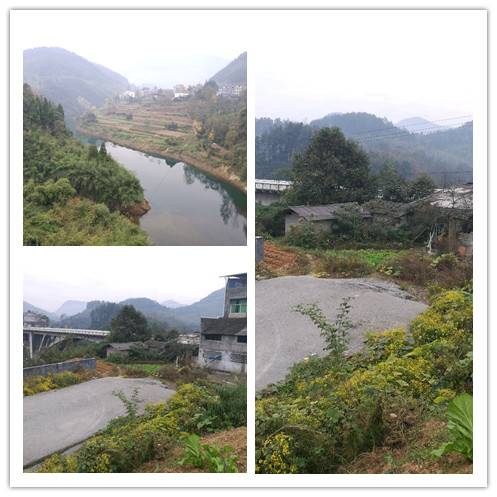 绿水镇（四川省南充市营山县下辖镇）