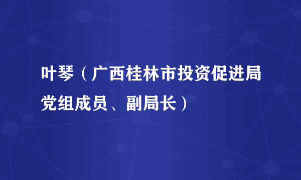 叶琴(广西桂林市投资促进局党组成员、副局长)