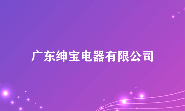 广东绅宝电器有限公司