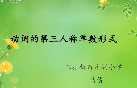 动词的第三人称单数形式