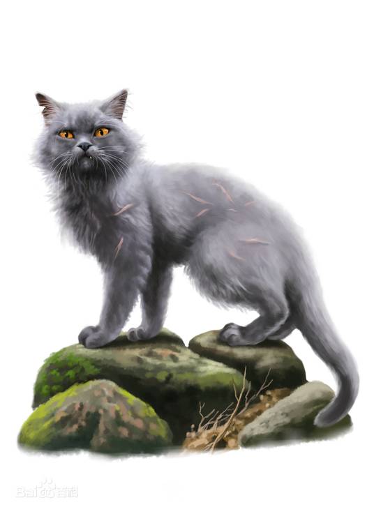 黄牙（小说《猫武士》中的角色）