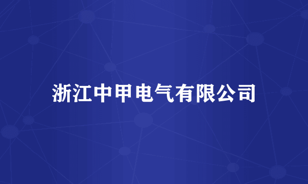 浙江中甲电气有限公司