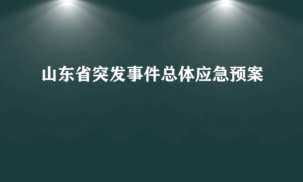 山东省突发事件总体应急预案