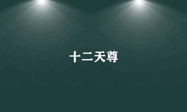 十二天尊