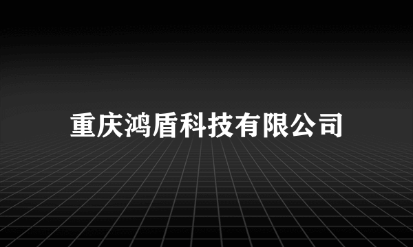 重庆鸿盾科技有限公司