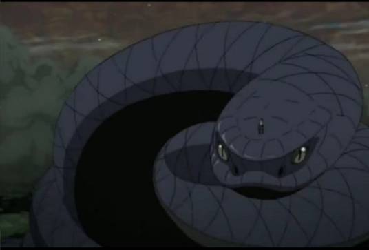 青蛇（动漫《火影忍者》中佐助的通灵兽）