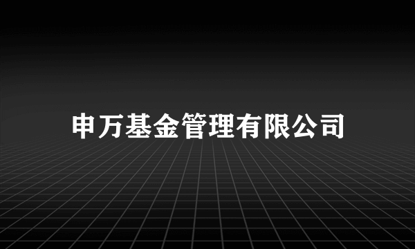申万基金管理有限公司