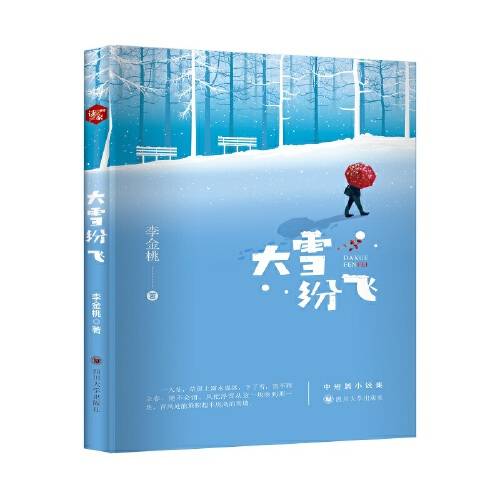 大雪纷飞（2020年四川大学出版社出版的图书）