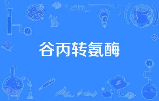 谷丙转氨酶
