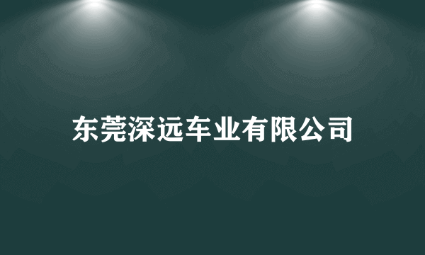 东莞深远车业有限公司