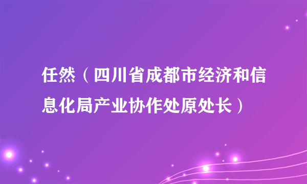 任然（四川省成都市经济和信息化局产业协作处原处长）