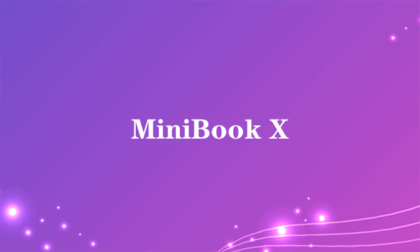 MiniBook X
