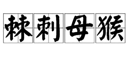 棘刺母猴（汉语成语）