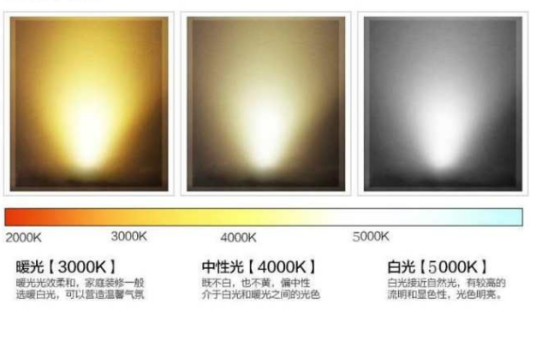 光色（物理学术语）
