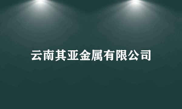 云南其亚金属有限公司