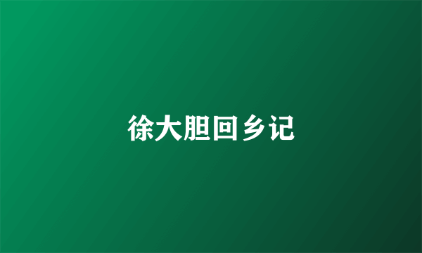 徐大胆回乡记