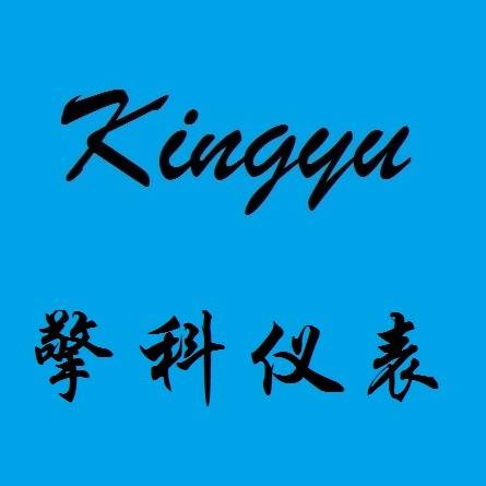 上海擎科仪表电子有限公司