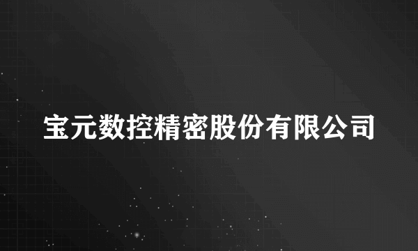 宝元数控精密股份有限公司