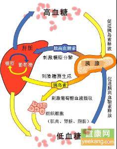 暴发性1型糖尿病