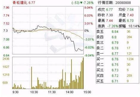 其他资本公积