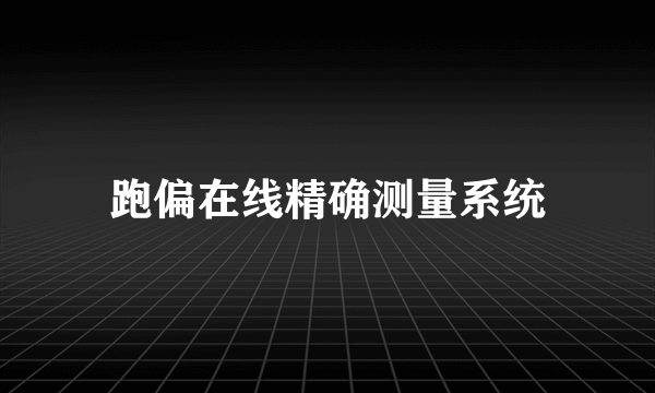 跑偏在线精确测量系统