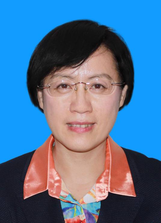 何念（北京市西城区人民政府国有资产监督管理委员会原党委委员）