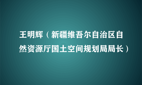 王明辉（新疆维吾尔自治区自然资源厅国土空间规划局局长）