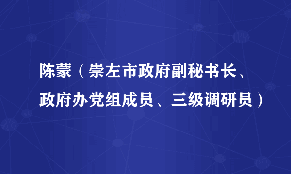 陈蒙（崇左市政府副秘书长、政府办党组成员、三级调研员）