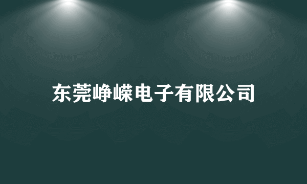 东莞峥嵘电子有限公司