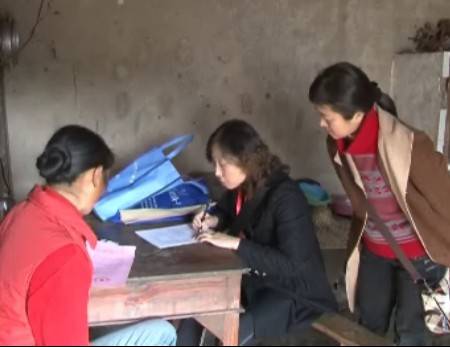 中国妇女社会地位调查
