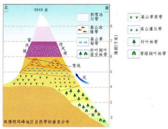 垂直地带性