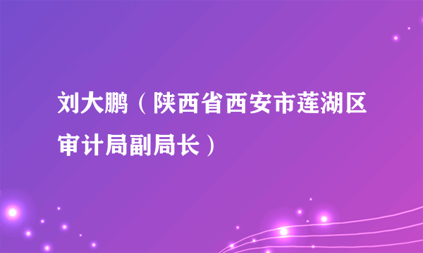 刘大鹏（陕西省西安市莲湖区审计局副局长）