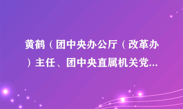 黄鹤（团中央办公厅（改革办）主任、团中央直属机关党委副书记，团十八届、十九届中央委员、常委）