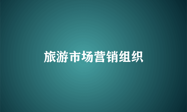 旅游市场营销组织