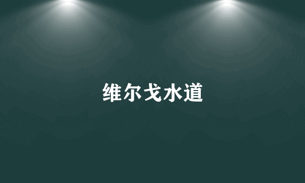 维尔戈水道