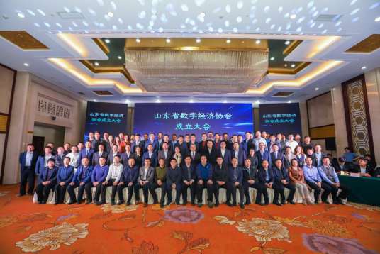 山东省数字经济协会