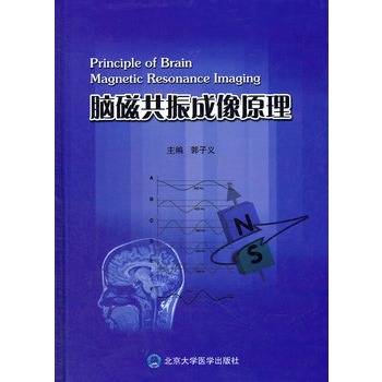 脑磁共振成像原理