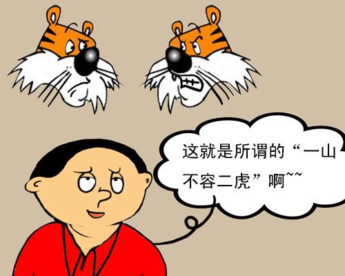一山不藏二虎