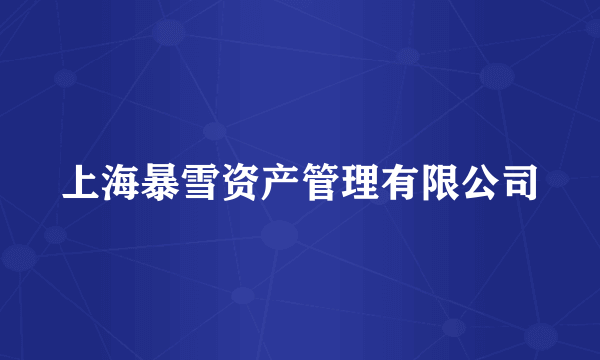 上海暴雪资产管理有限公司