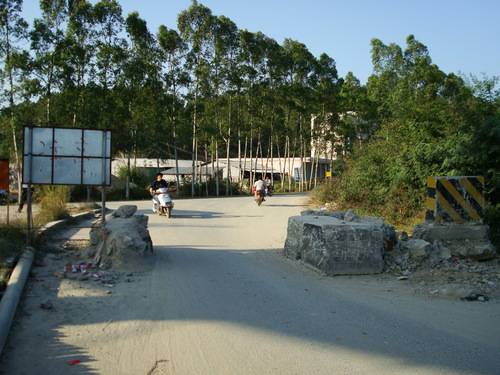 龙华镇（广东龙门县龙华镇）