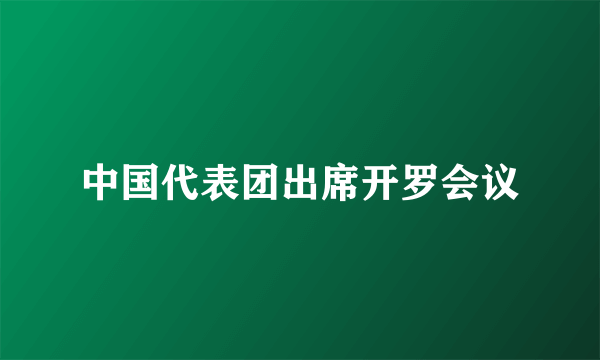 中国代表团出席开罗会议
