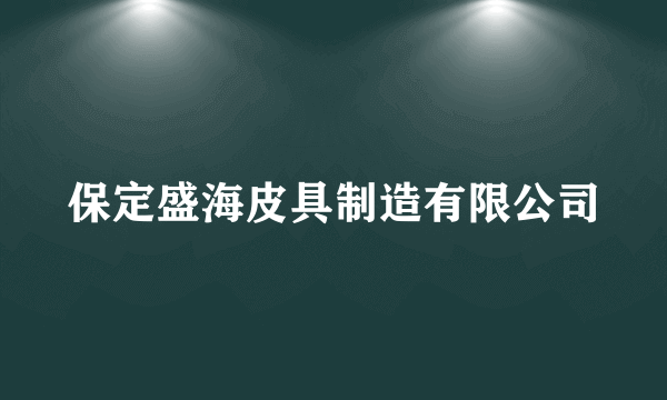 保定盛海皮具制造有限公司