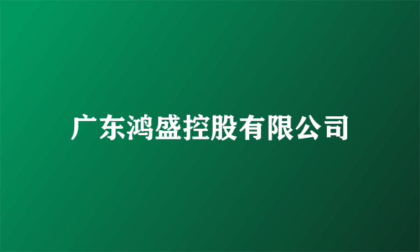 广东鸿盛控股有限公司